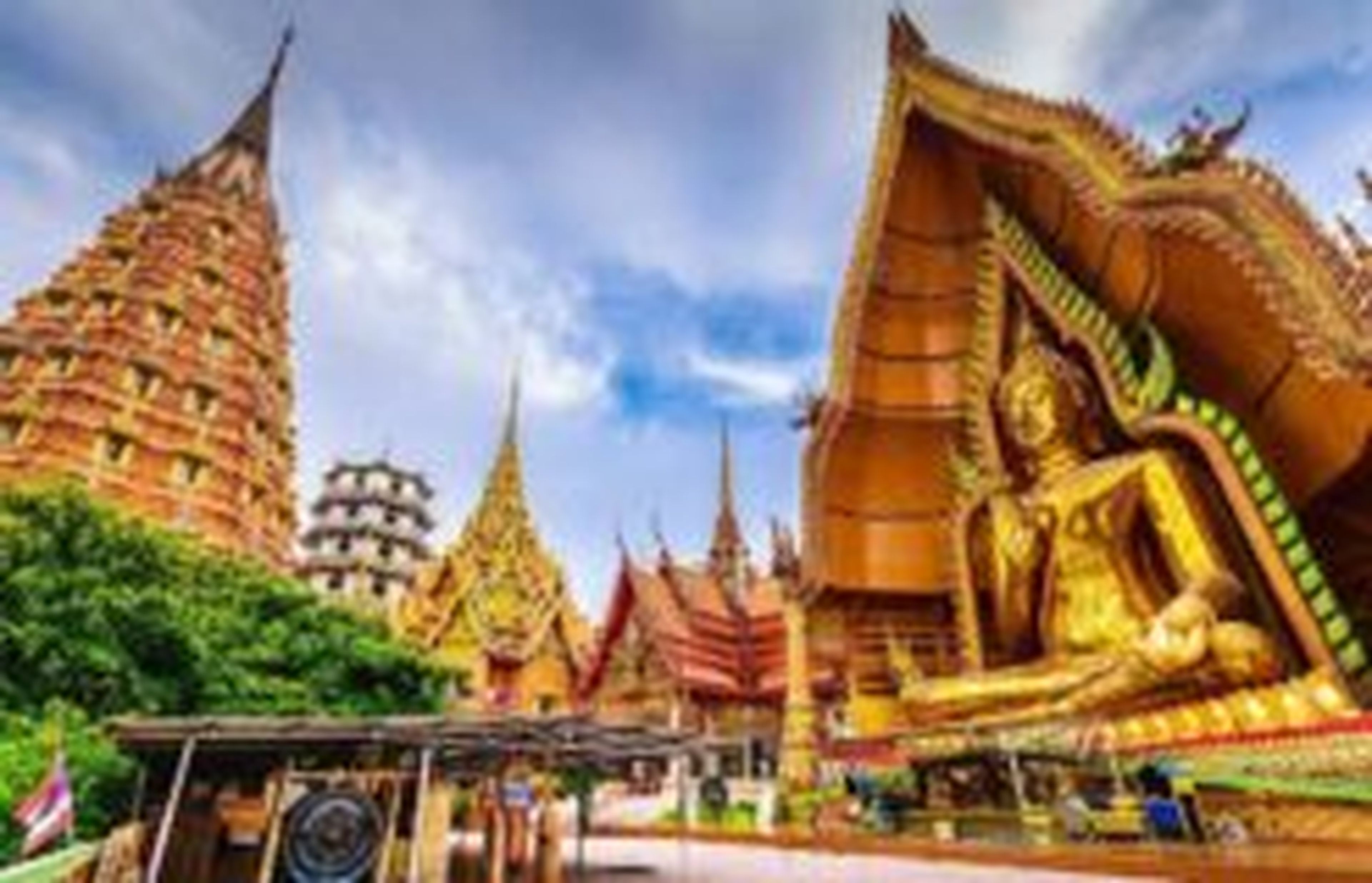 Nha Trang Tourist One Member Limited Company - Hình 3